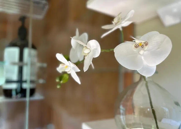 The Canyons B&B Queenstown