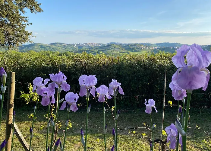 Bed and Breakfast Relais Casamassima Perugia