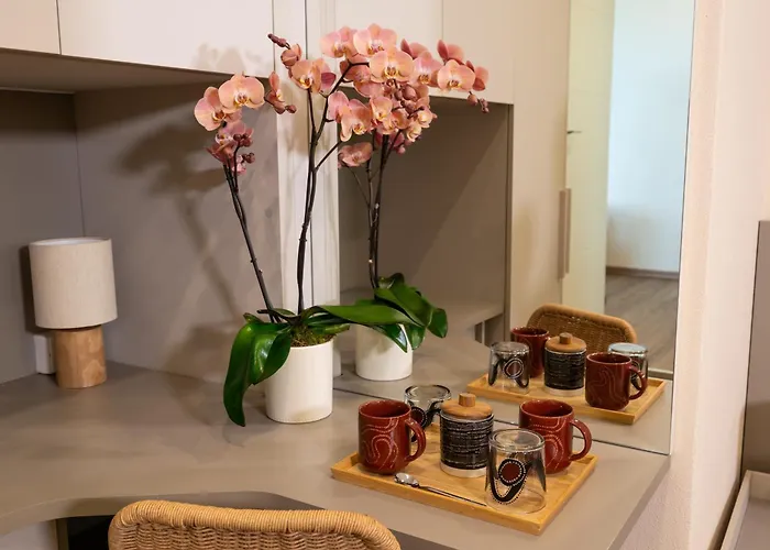 Villa Olivemare B&B Pietrasanta