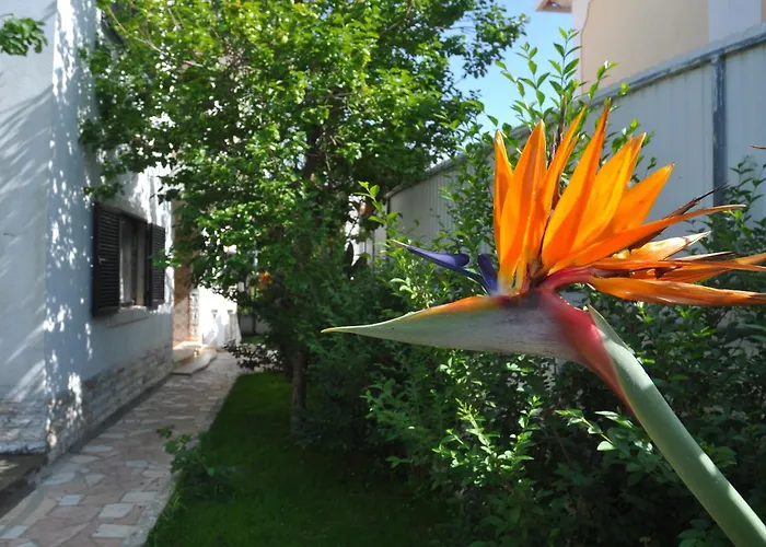 Manelisa Cascais Bed & Breakfast