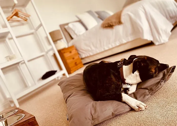 The Ventnor Annex Bed & Breakfast