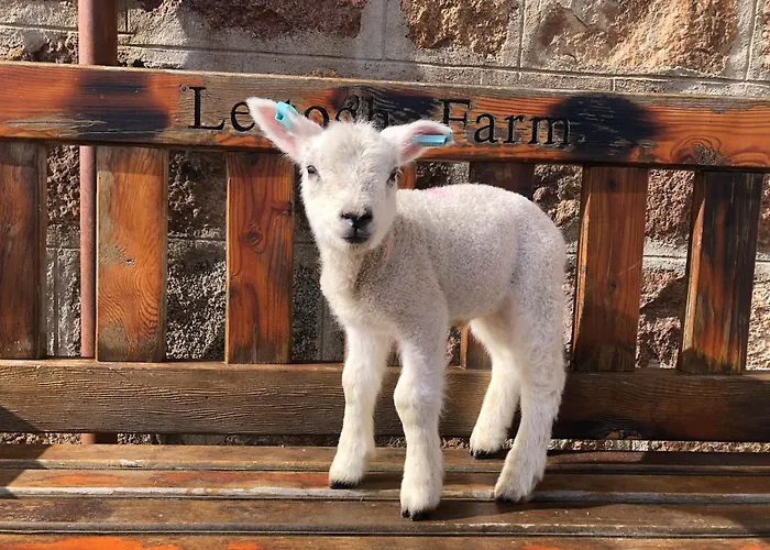 Lettoch Farm Bed & Breakfast Dufftown