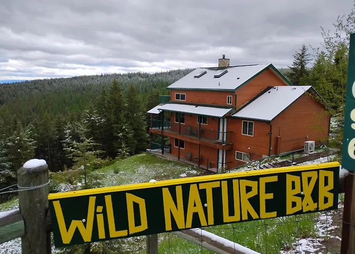 Wild Nature B&B