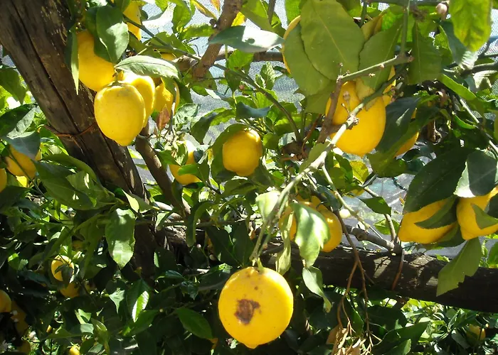Bed and Breakfast Il Rifugio del Poeta Ravello