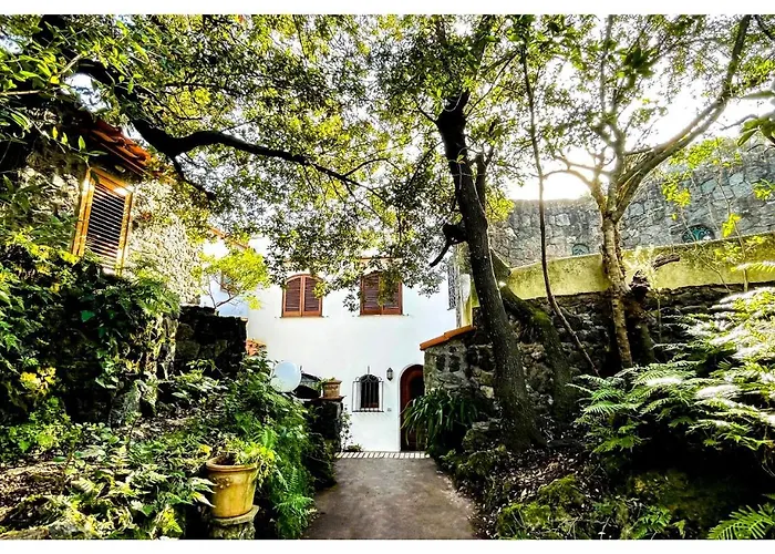Villa Talia Sweet Rooms B&B Ischia
