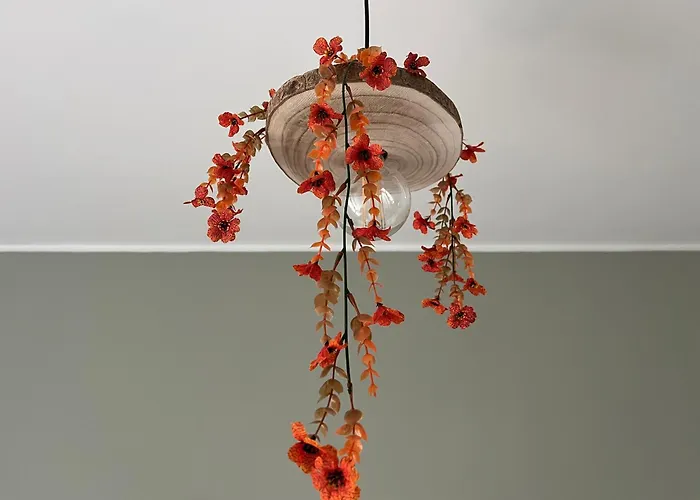 Bed and Breakfast Mirandesa Garden OOporto