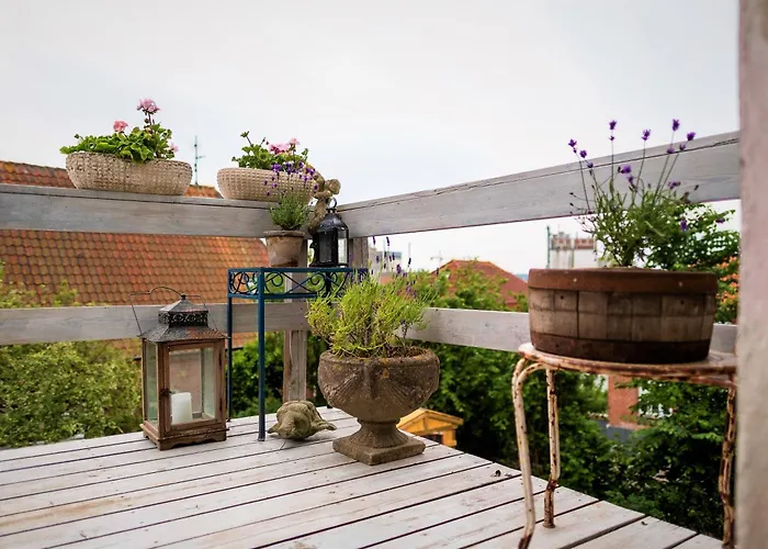 Rosenhøj Bed&Breakfast Svendborg