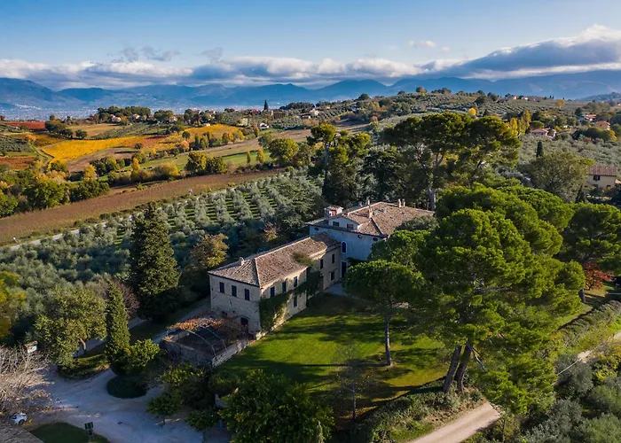 Retrocantina Antonelli Montefalco