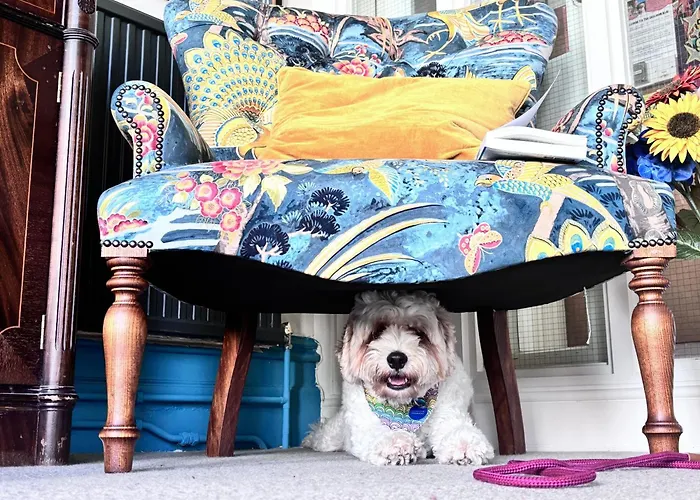 The Sheldon B&B Eastbourne