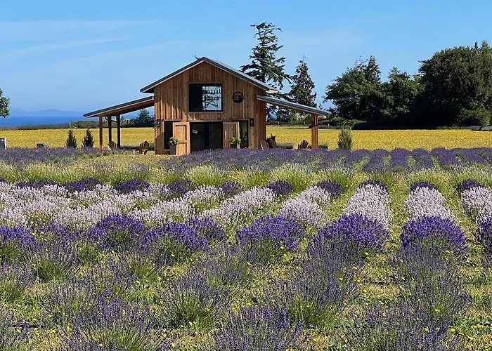 Salt And Cedar Bed And Breakfast Port Angeles