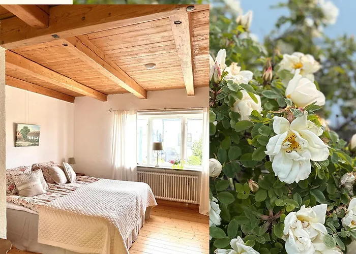 Rävåkra B&B Österlen Hammenhög