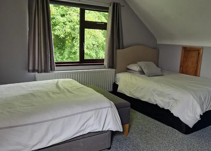 Bed and BreakfastTree-House