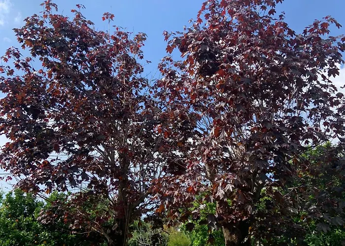 AceroRosso B&B Salerno