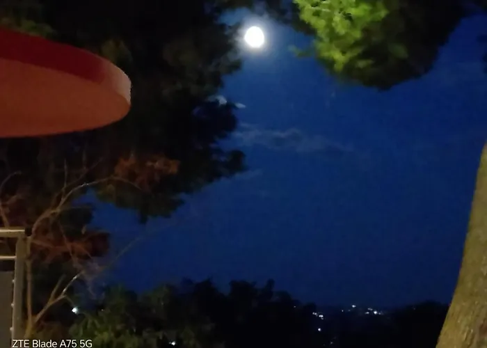 La Fenice Città Sant'Angelo