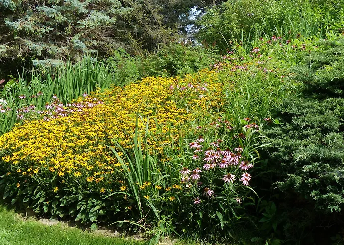 Cloran Mansion Bed & Breakfast Galena