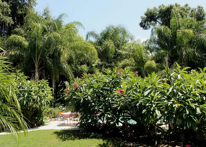 Heron Cay Lakeview Bed & Breakfast Mount Dora