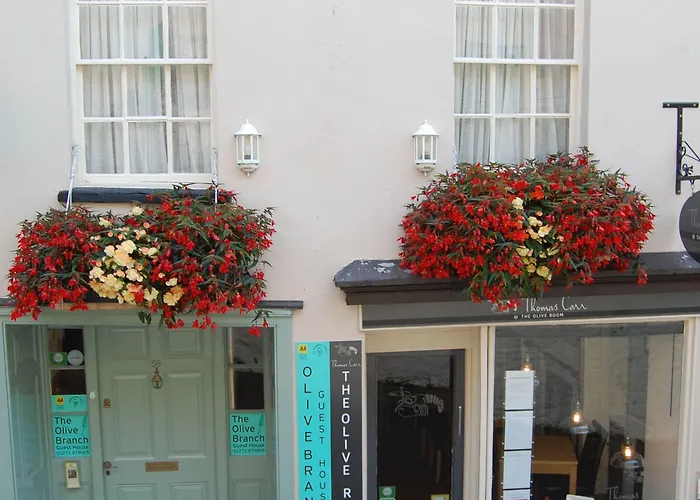 The Olive Branch Bed & Breakfast Ilfracombe