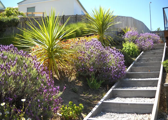 Criffel Peak View Bed And Breakfast Wanaka