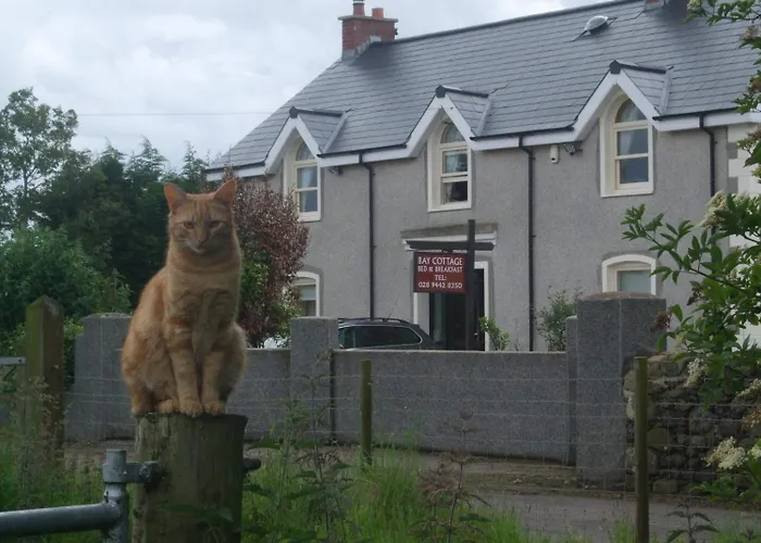 Bay Cottage Bed & Breakfast British