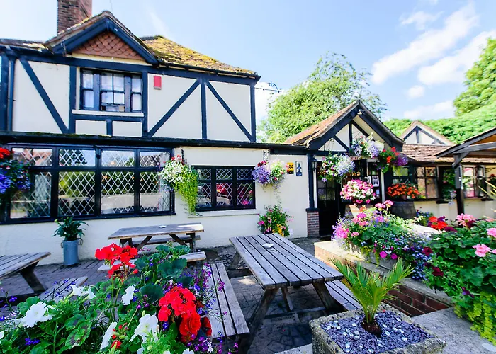 Ye Olde Red Lion Bed & Breakfast Newbury 