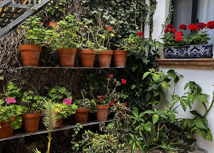 Hotel Casa Carmen San Miguel de Allende