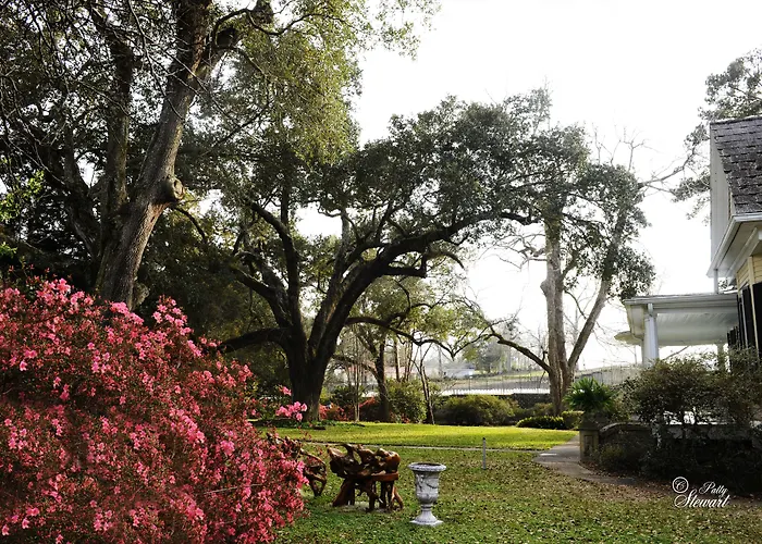 Clermont Bluffs Bed & Breakfast Natchez