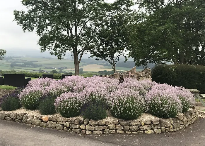 Cedar House Bed & Breakfast Minehead