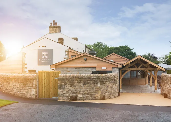 Bed and BreakfastForest