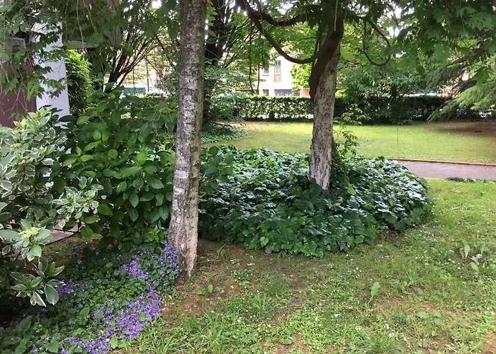 Bed and BreakfastBio Salix