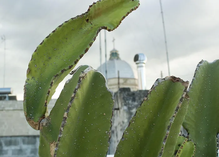 B&B Sotto la Volta Massafra