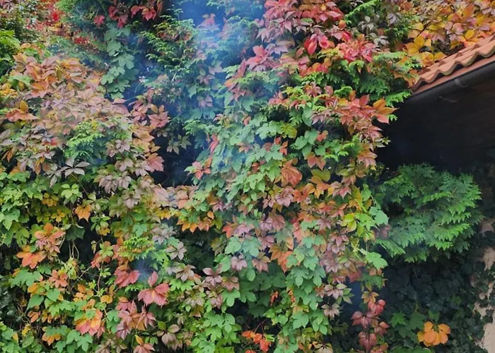 Villa Pallas Gdańsk