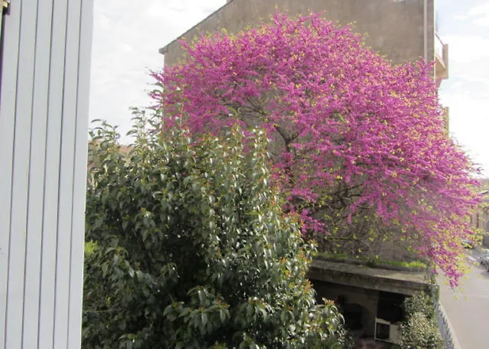 Aude Cité-City Carcasona