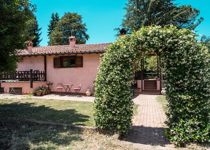 Bed and Breakfast Olive Tree Hill Zagarolo