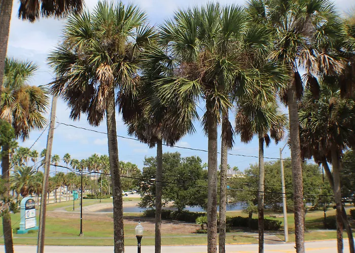 The Foxtail Estate Bed & Breakfast Daytona Beach