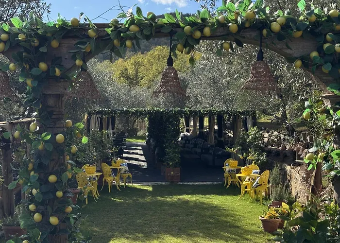 Bed and Breakfast Terre di Baccio Greve in Chianti