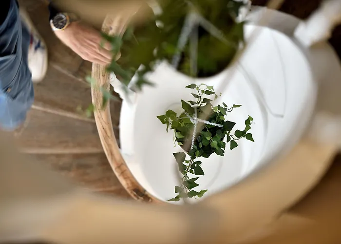 Bed and BreakfastUrban Walls