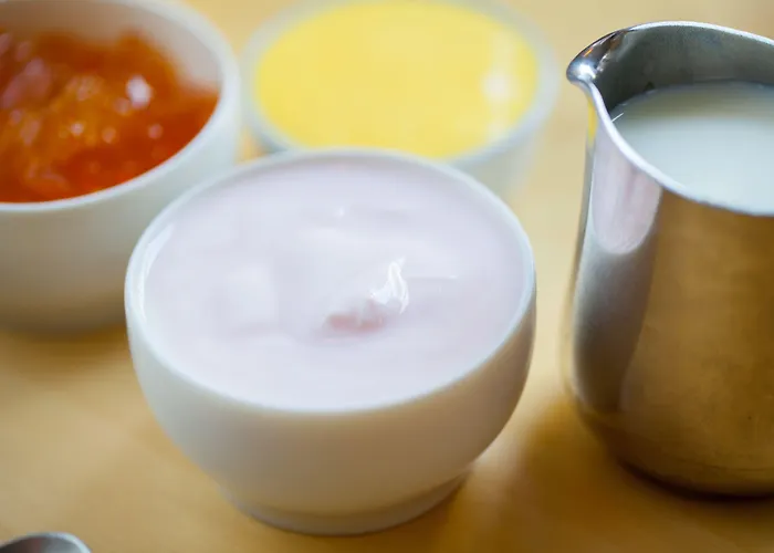 Hill View House Bed & Breakfast Dartmouth