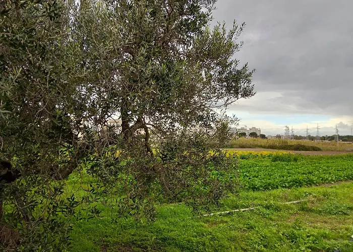 B&B Da Gino Lecce