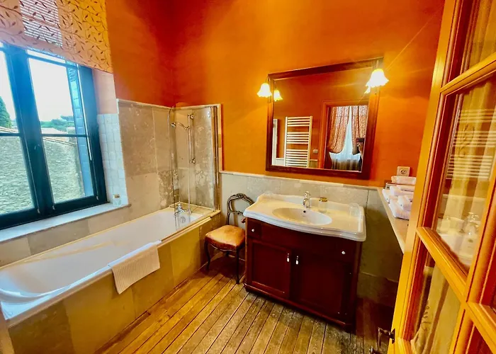 Demeure Saint Louis Historic Manor, City 700M, Free Parking,A C,Clim,Wifi, City View, Garden Carcasona