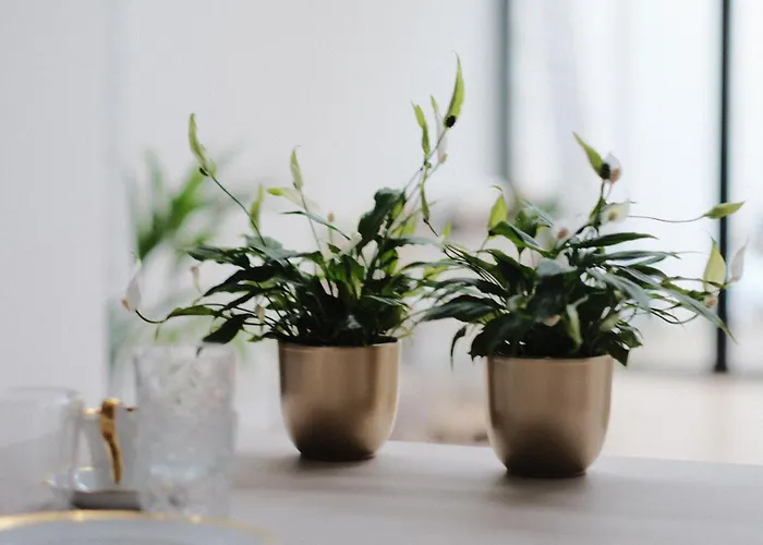 B&B Les Invites Brügge