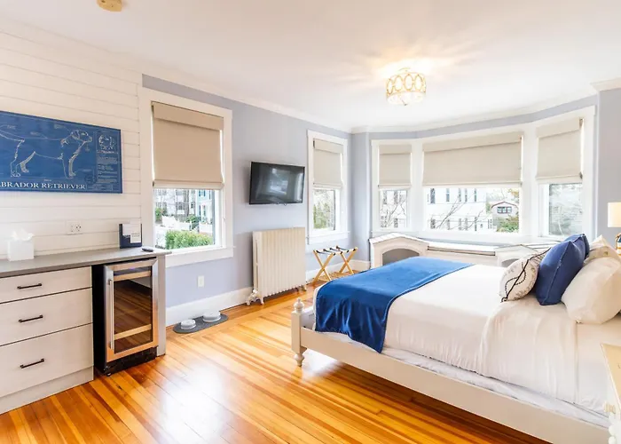 Paws On Pelham (Adults Only) Bed & Breakfast Newport