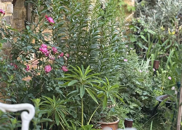 Self Contained Garden Studio London