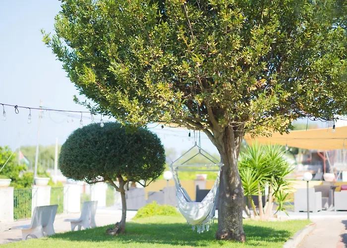 Belvedere Procida
