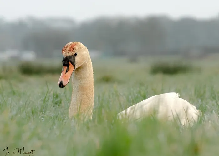 Healing Waters Sanctuary: Glastonbury's Holistic Retreat