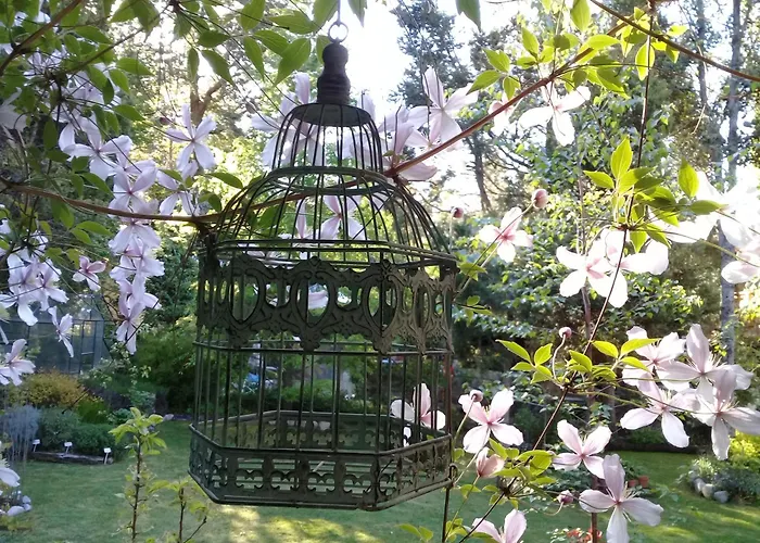 Bed and Breakfast Dodo House Villa La Angostura
