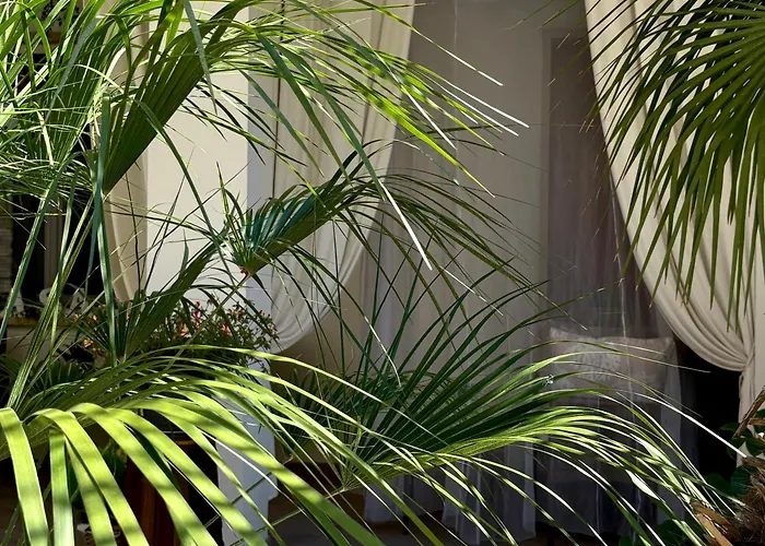 Casa Mar - B&B - Terracina