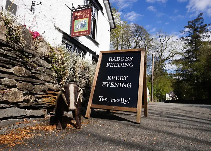 Badger Bar Bed & Breakfast Ambleside