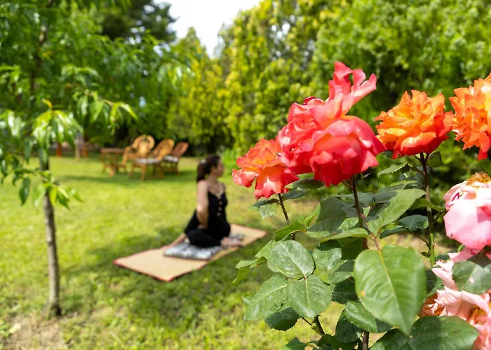 La dimora di Radha B&B Centro Olistico Rende