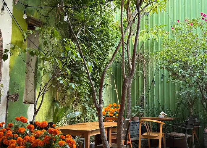 Bed and Breakfast Palmar Oaxaca