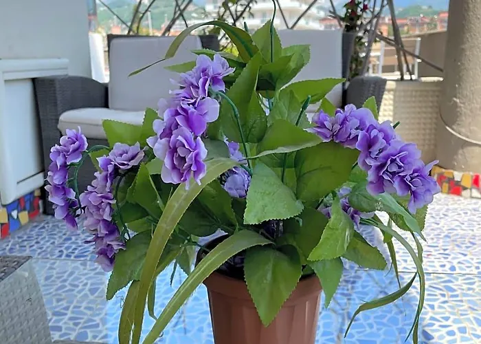 Bed and Breakfast costasudsalerno